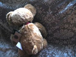 honey russ bear main_02